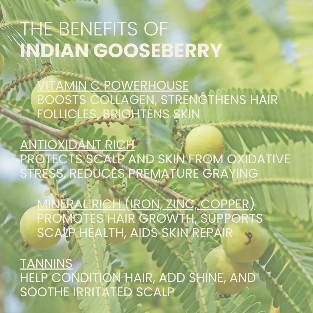 Ahimsa Gentle Daily Shampoo - Image 5