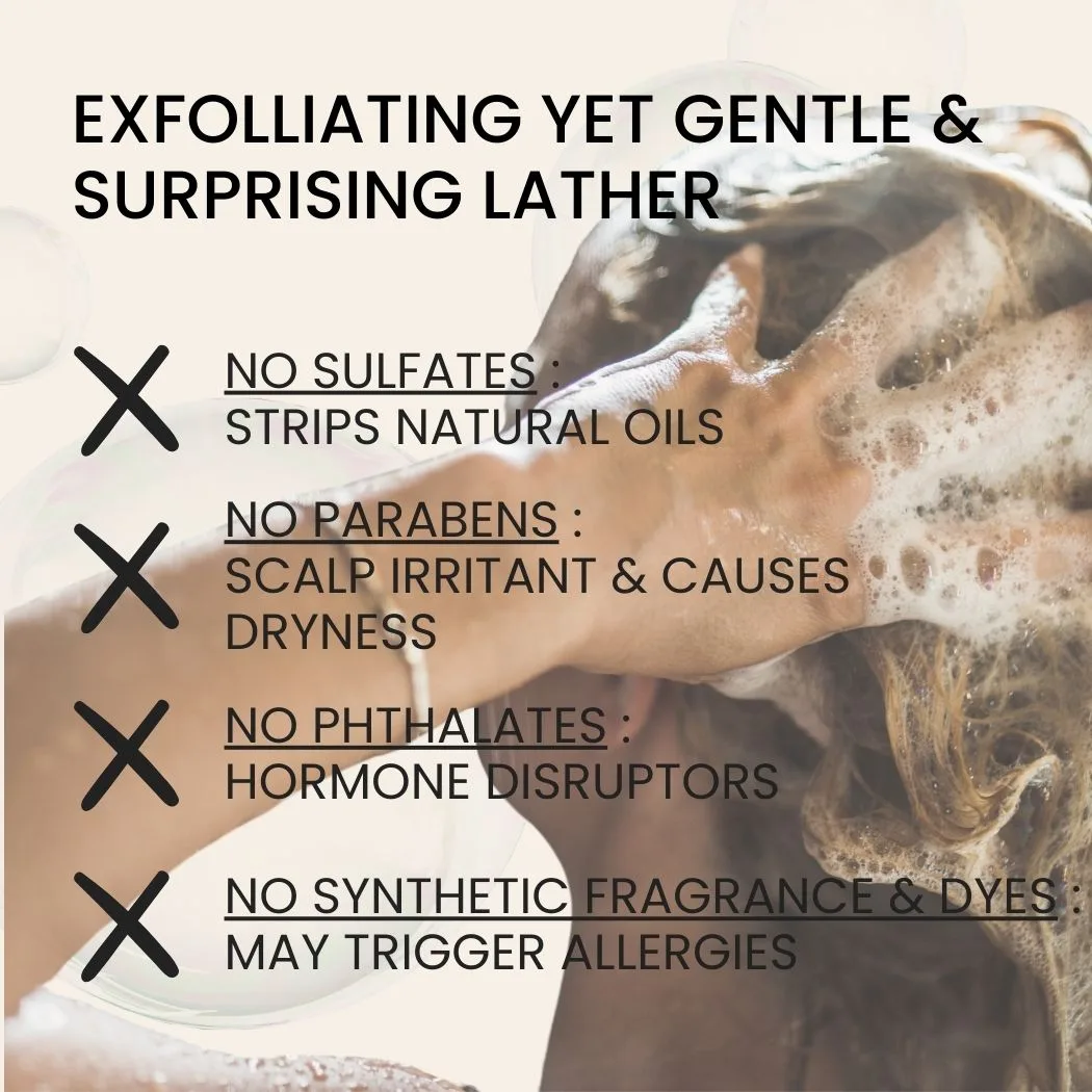 Ahimsa Gentle Purifying Shampoo - Image 3