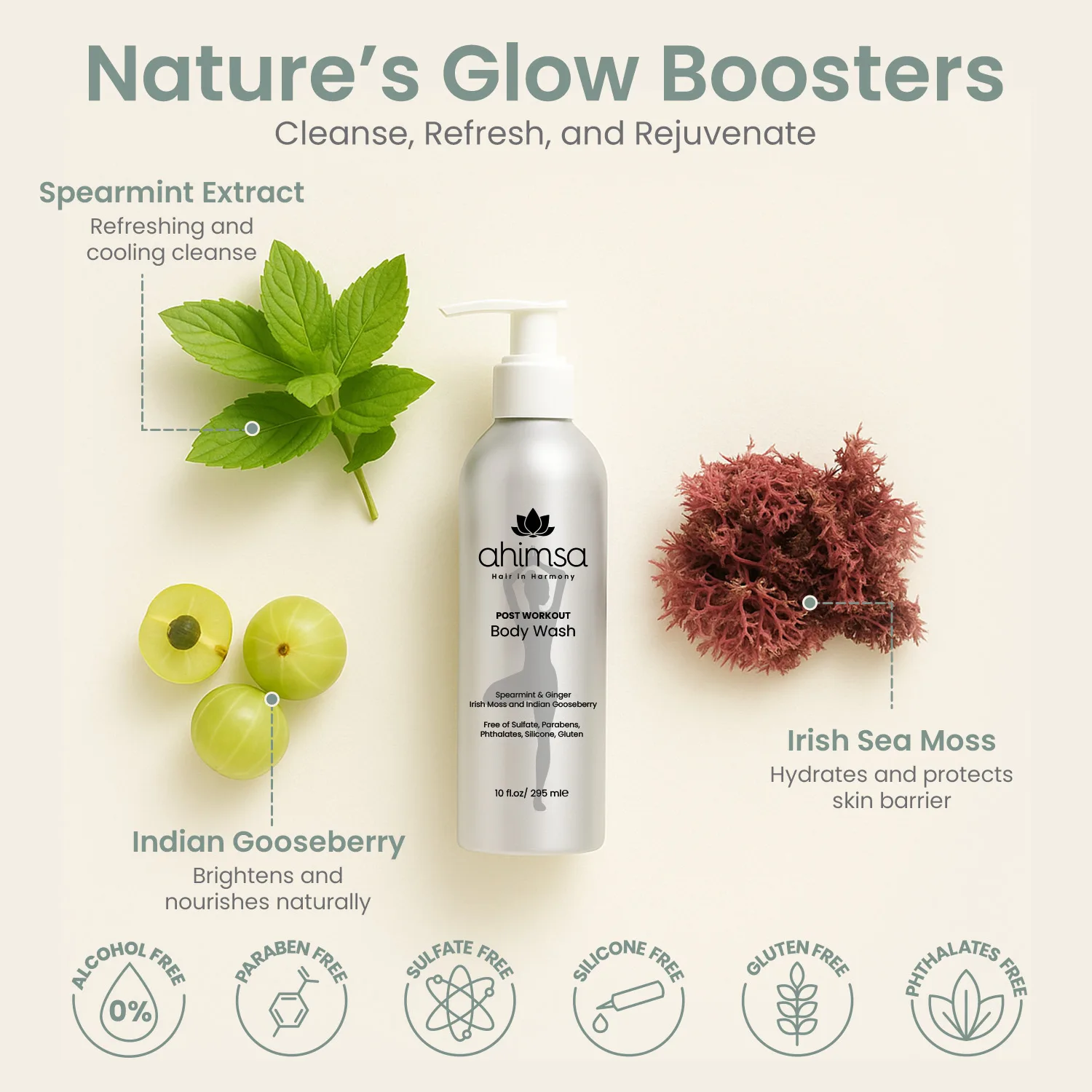 Mint + Ginger Body Wash — Sulfate-Free Skin Cleanser - Image 3